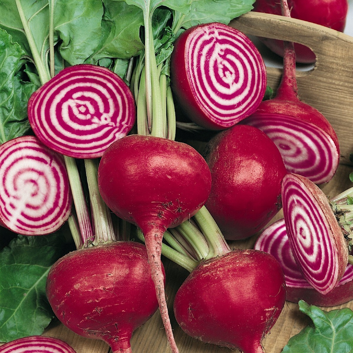 1/4 Lb Chioggia Beet Seeds – Everwilde Farms Mylar Seed Packet