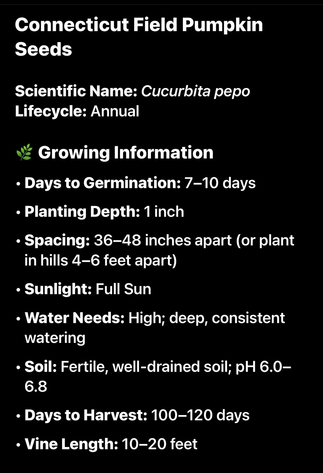 Pumpkin Connecticut Field Seeds, Traditional Pumpkin, Non-GMO, Free Shipping