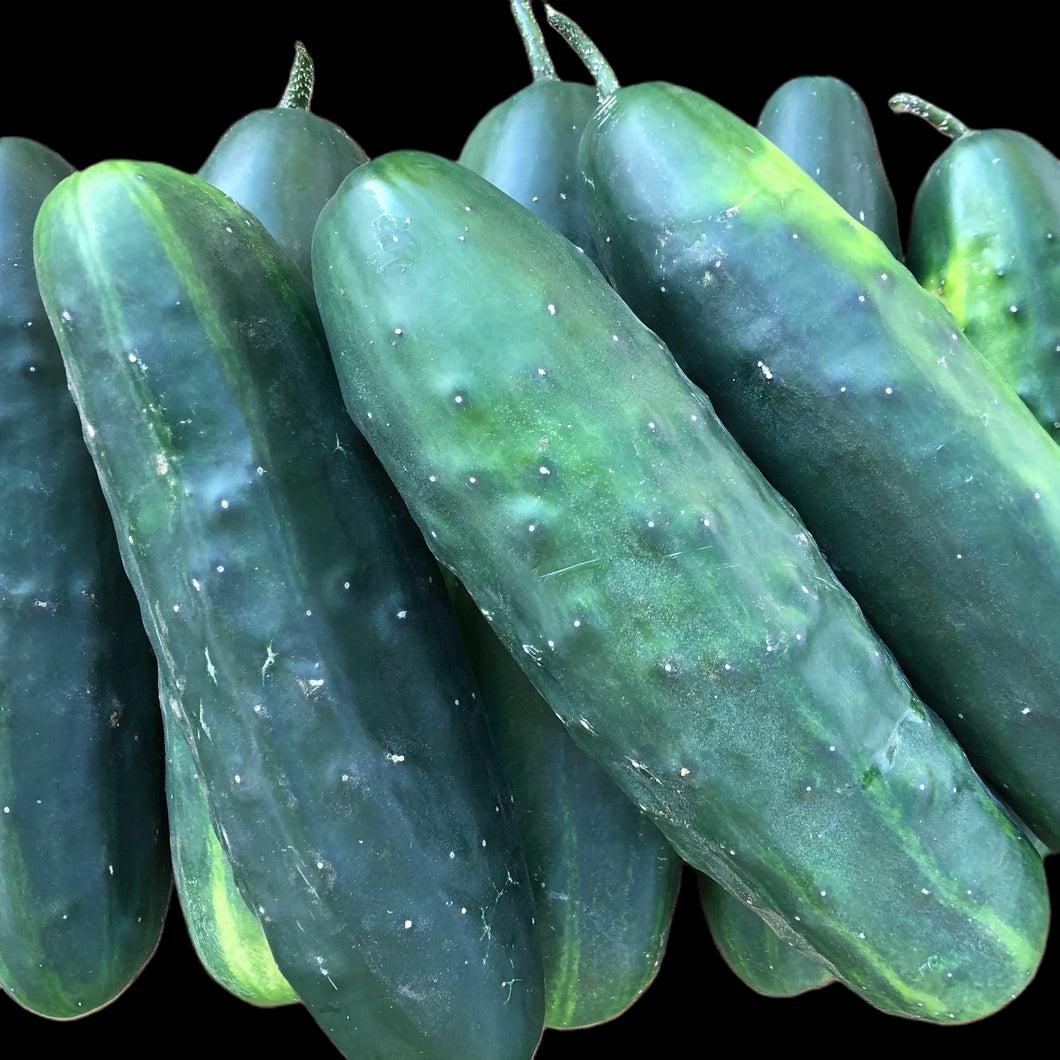Space Master 80 Cucumber (slicer) Seeds Free Shipping!