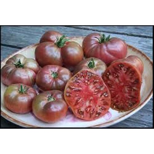 Tomato Cherokee Purple Garden Heirloom Vegetable By Seed Kingdom 1,200 Seeds