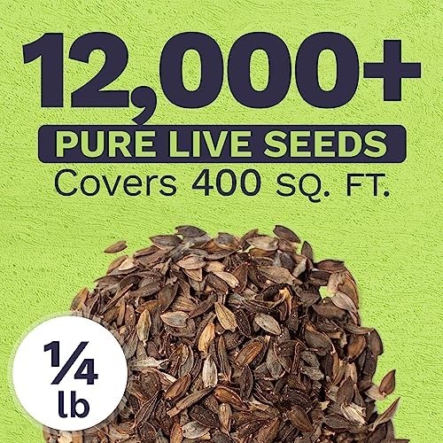 Bulk Zinnia Seeds – California Giants Mix – 1/4 lb Bag, 12,000+ Colorful Flower