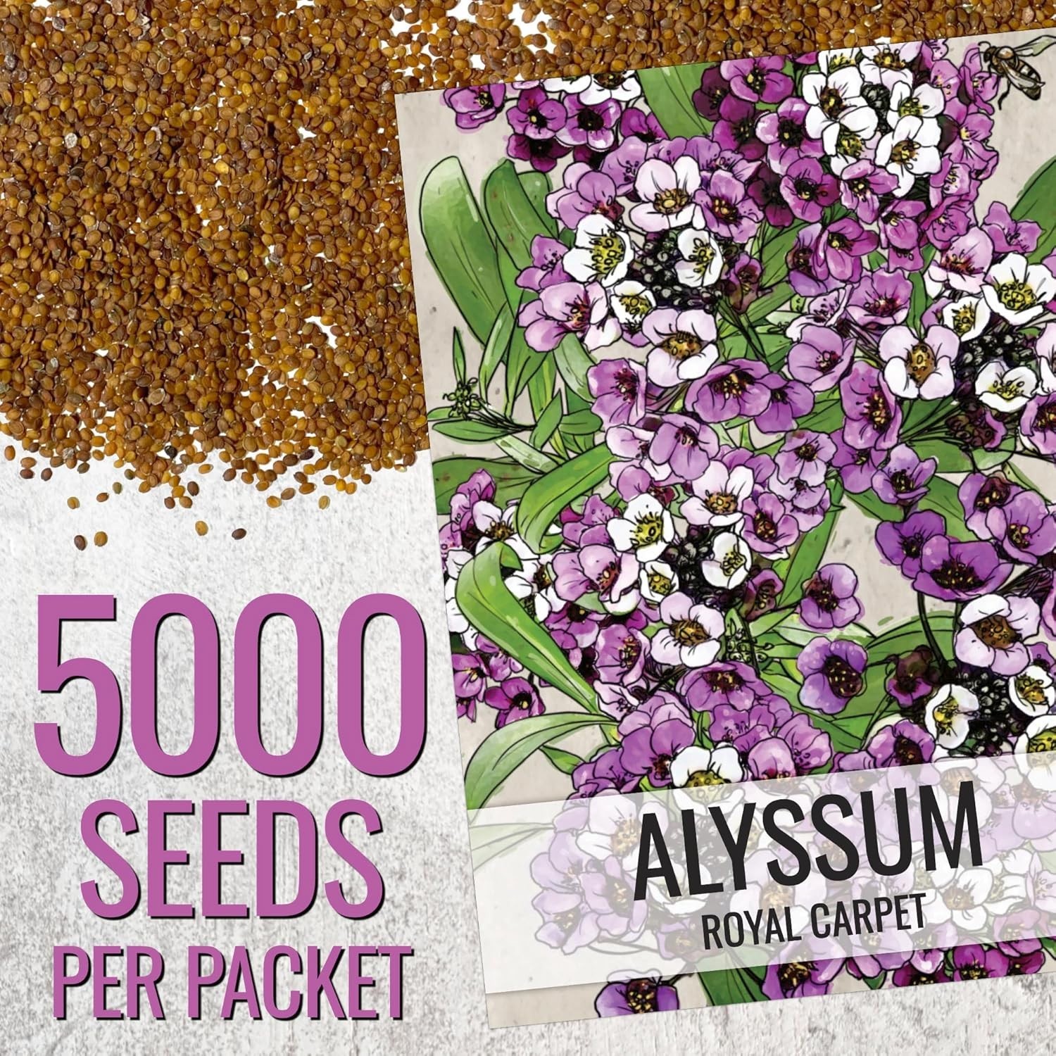 Untreated Royal Carpet Alyssum Seeds – Tender Perennial for Rock Gardens 1 Pack