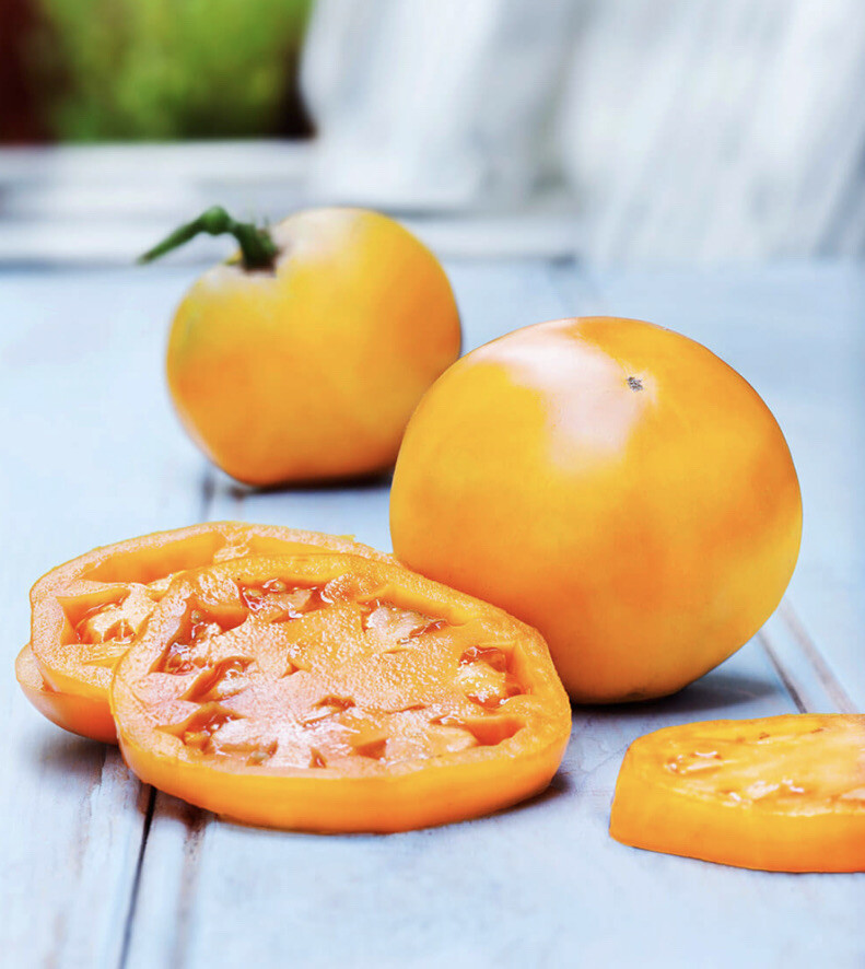 GOLDEN JUBILEE TOMATO – ORGANIC – HEIRLOOM – 20 SEEDS