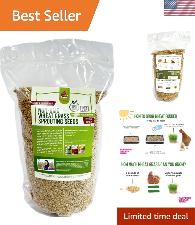 Easy Grow Non-GMO Wheat Grass: 3 lb Seeds for Chickens, Ducks & Tortoises