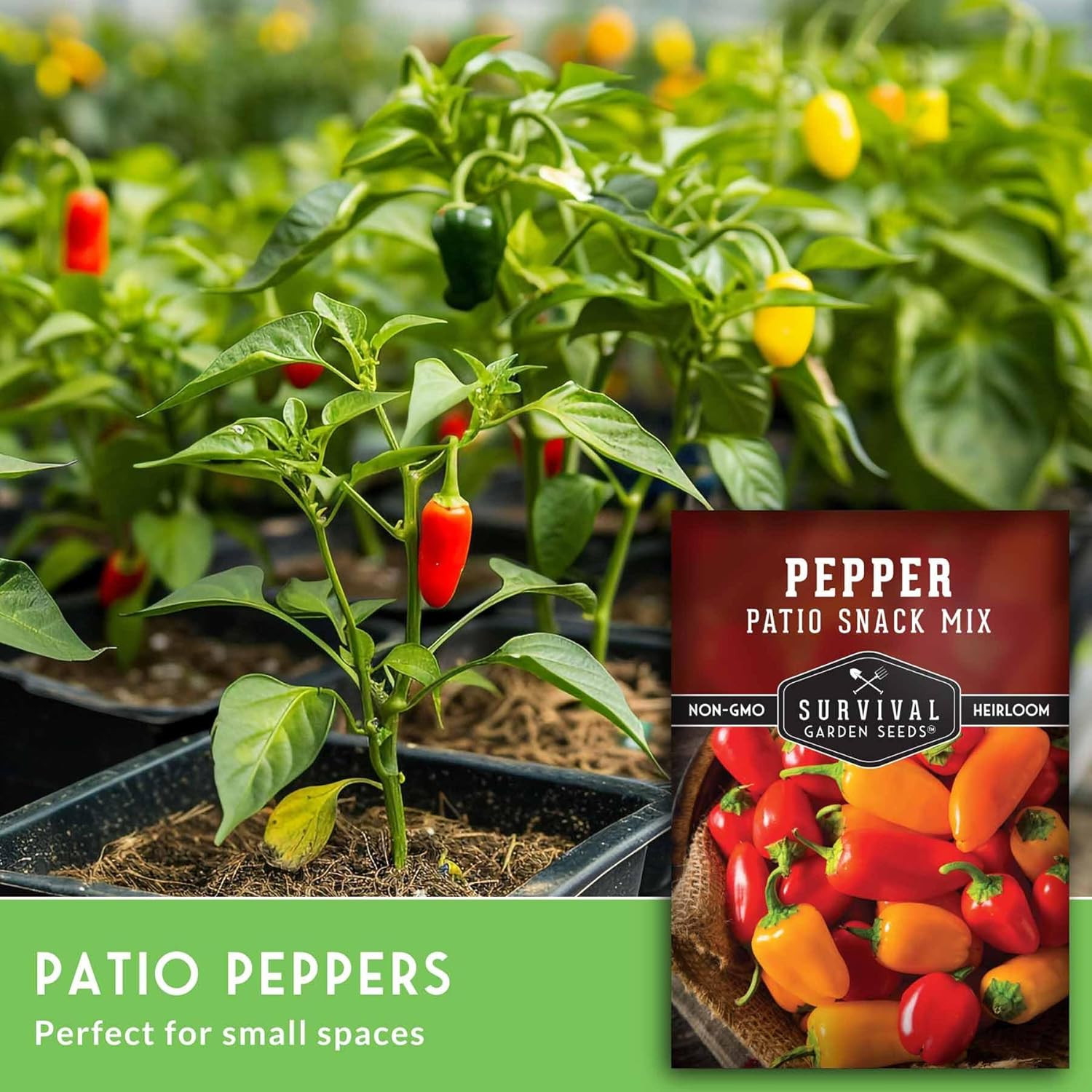 Mini Sweet Pepper Seeds for Planting – Heirloom Variety, Non-Gmo (1 Pack)