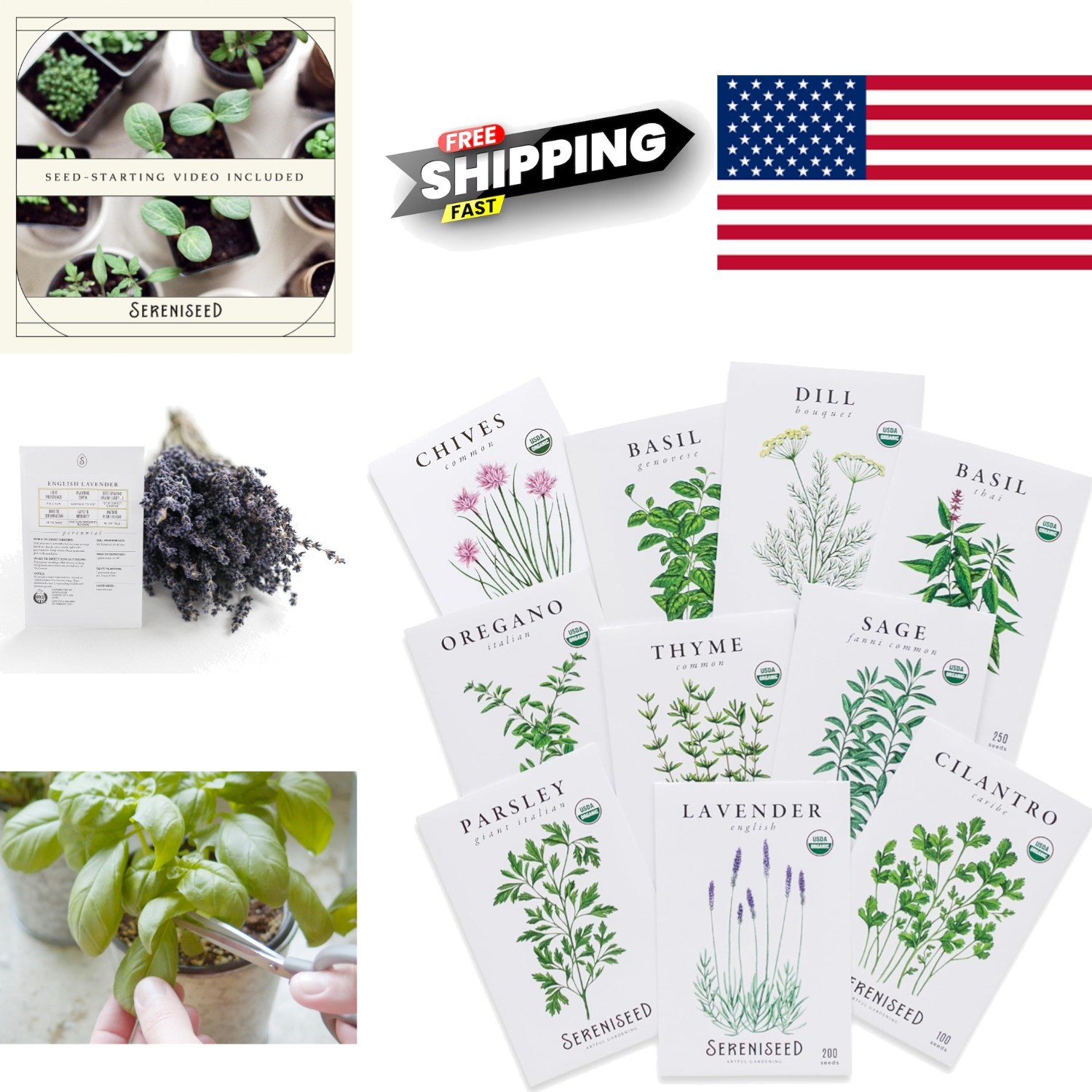 Organic Herb Seed Collection 10 Pack Basil Cilantro Oregano Thyme for Garden