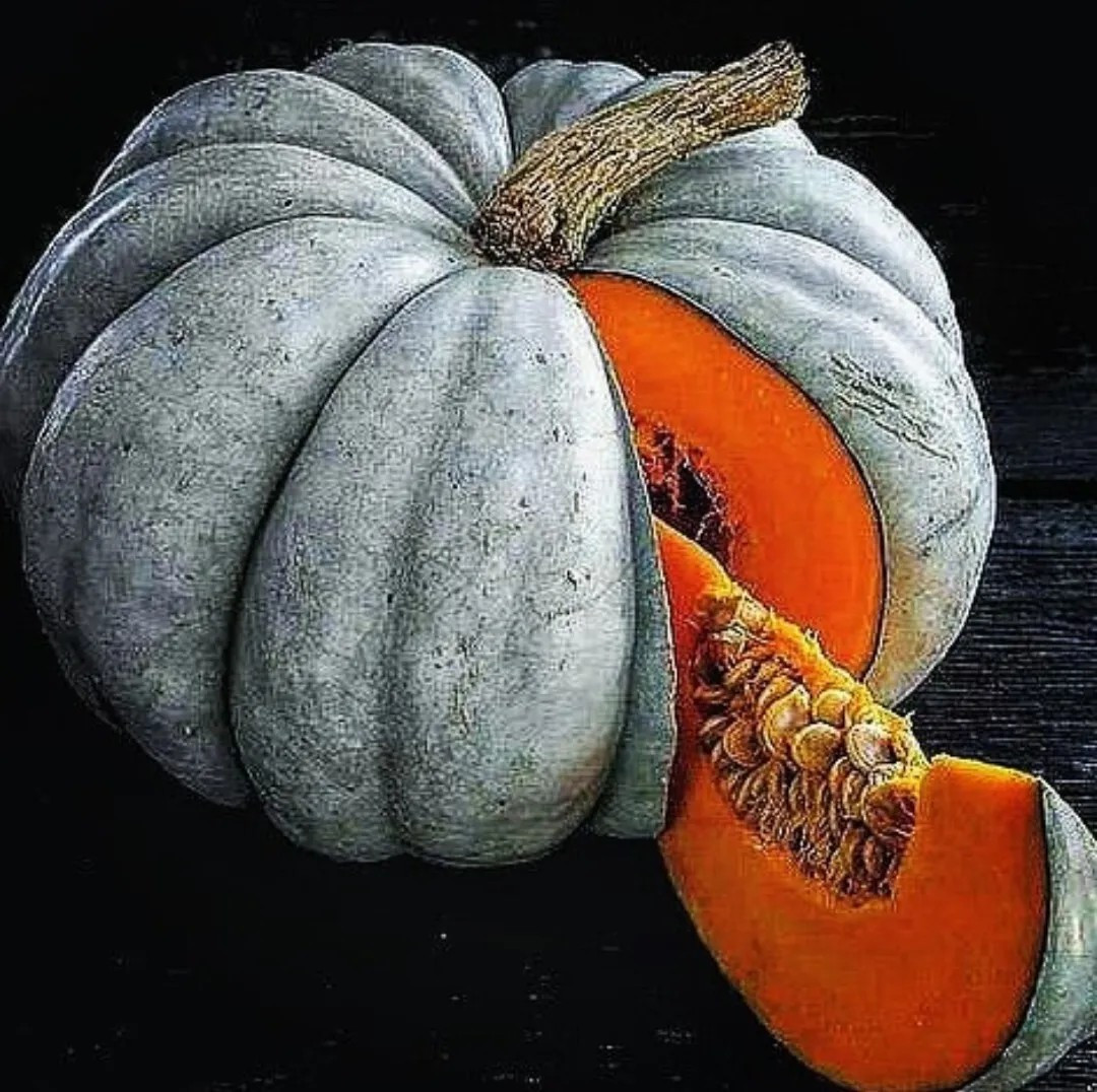 30 Jarrahdale Blue Pumpkin Seeds – Jarradale Queensland Cinderella Doll — FRESH
