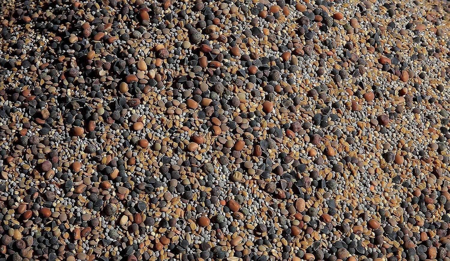 Natural No-Till ½-lb Seed Mix – Foster Beneficial Mycorrhizal Fungi Growth