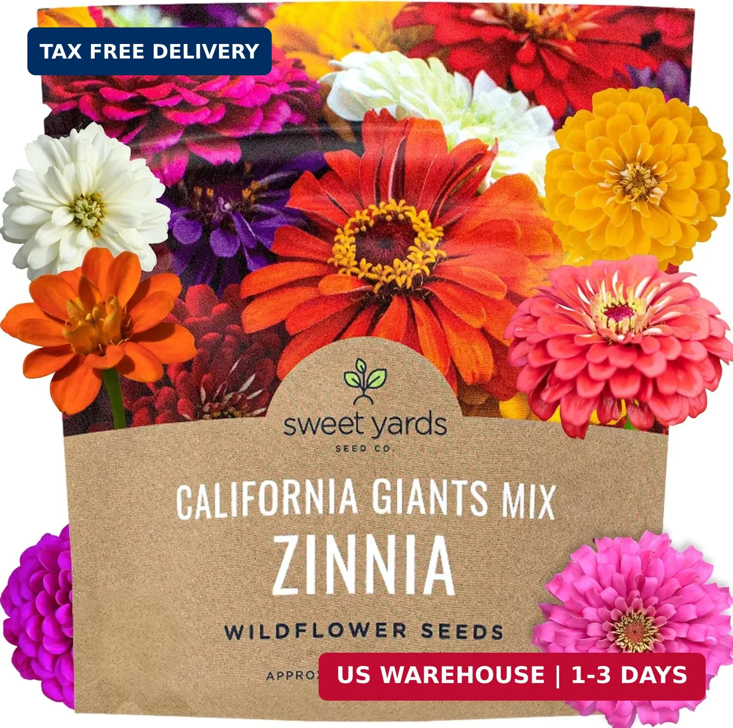 Zinnia Seeds California Giants Mix 1 Oz Pack 3000+ Flower Seeds Mixed Colors