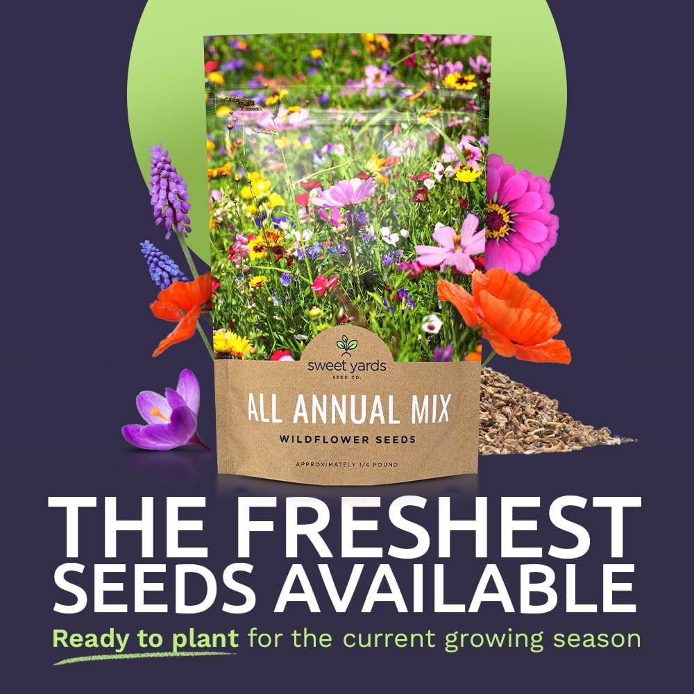 Bulk Wildflower Seeds Annual Quick Blooming Mix – 1/4 Pound Bag – Over 30000