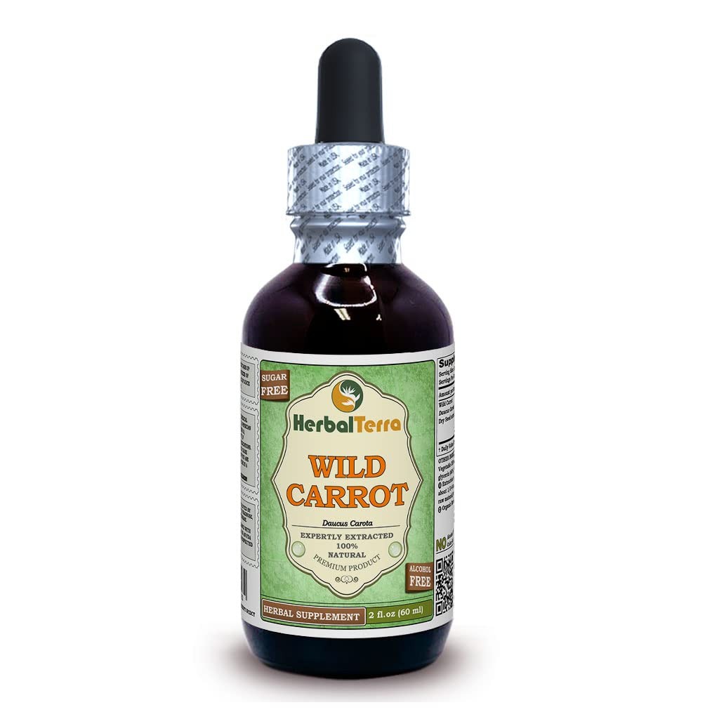 Wild Carrot Glycerite 2 oz AlcoholFree Extract for Vision and Circulation