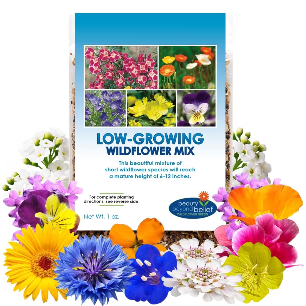 1 Ounce Low Growing Wildflower Seeds Mix 612 Inches Short Flowers Natural Mix