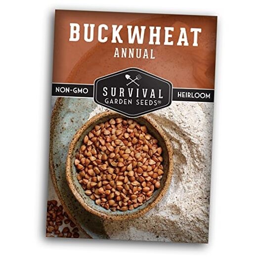 Buckwheat Seed for Planting – Packet with Instructions to Plant & Grow a 1