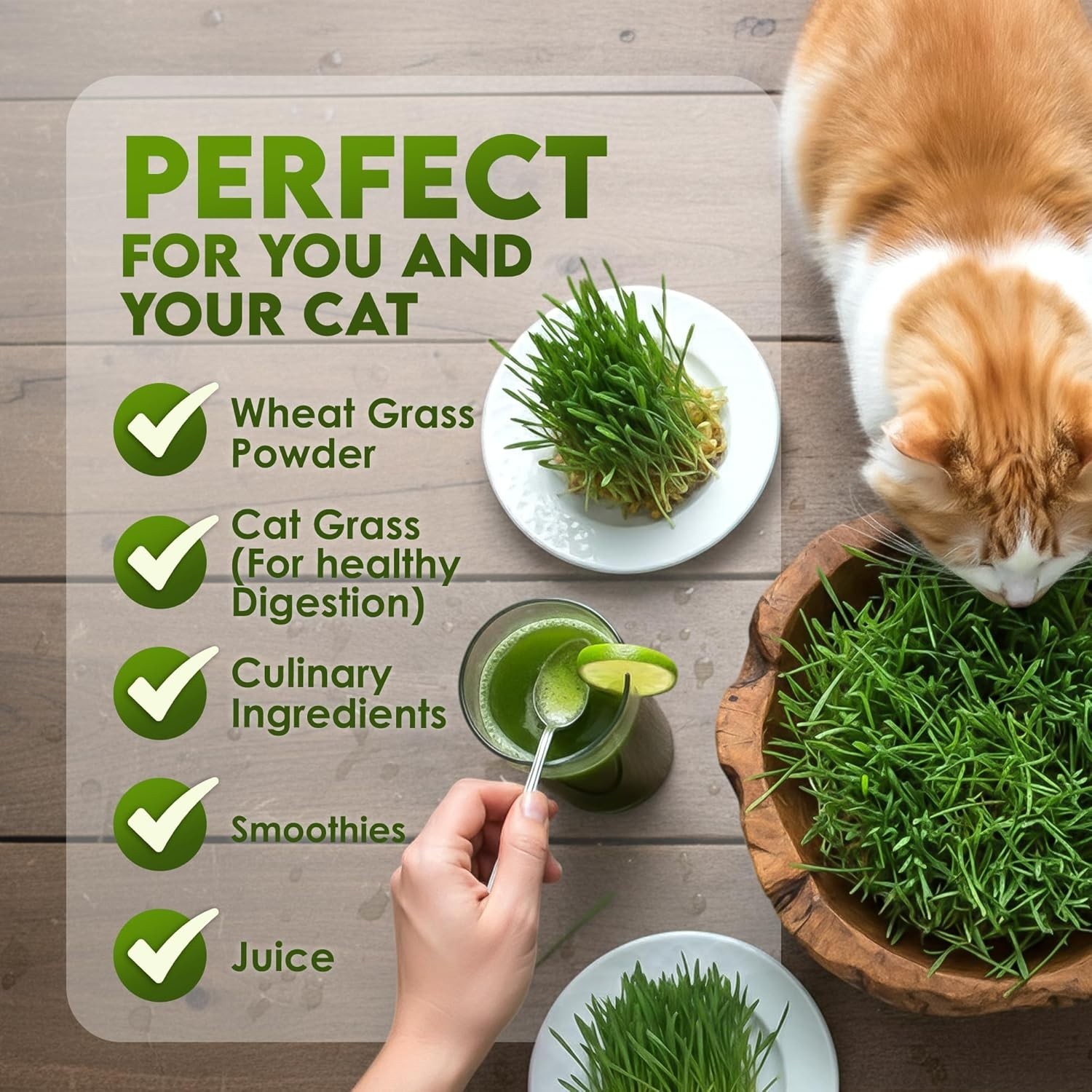 Organic Wheat Grass Seeds for Cats & Smoothies – 16oz Resealable Pack