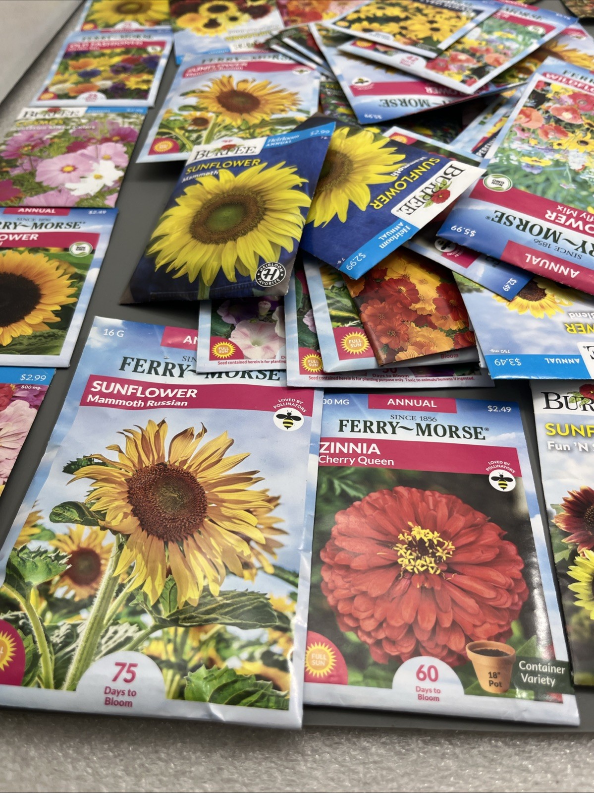 Flowers &Vegetable Plant Seeds (Assorted Lot of 100) sell by 11/26 Garden