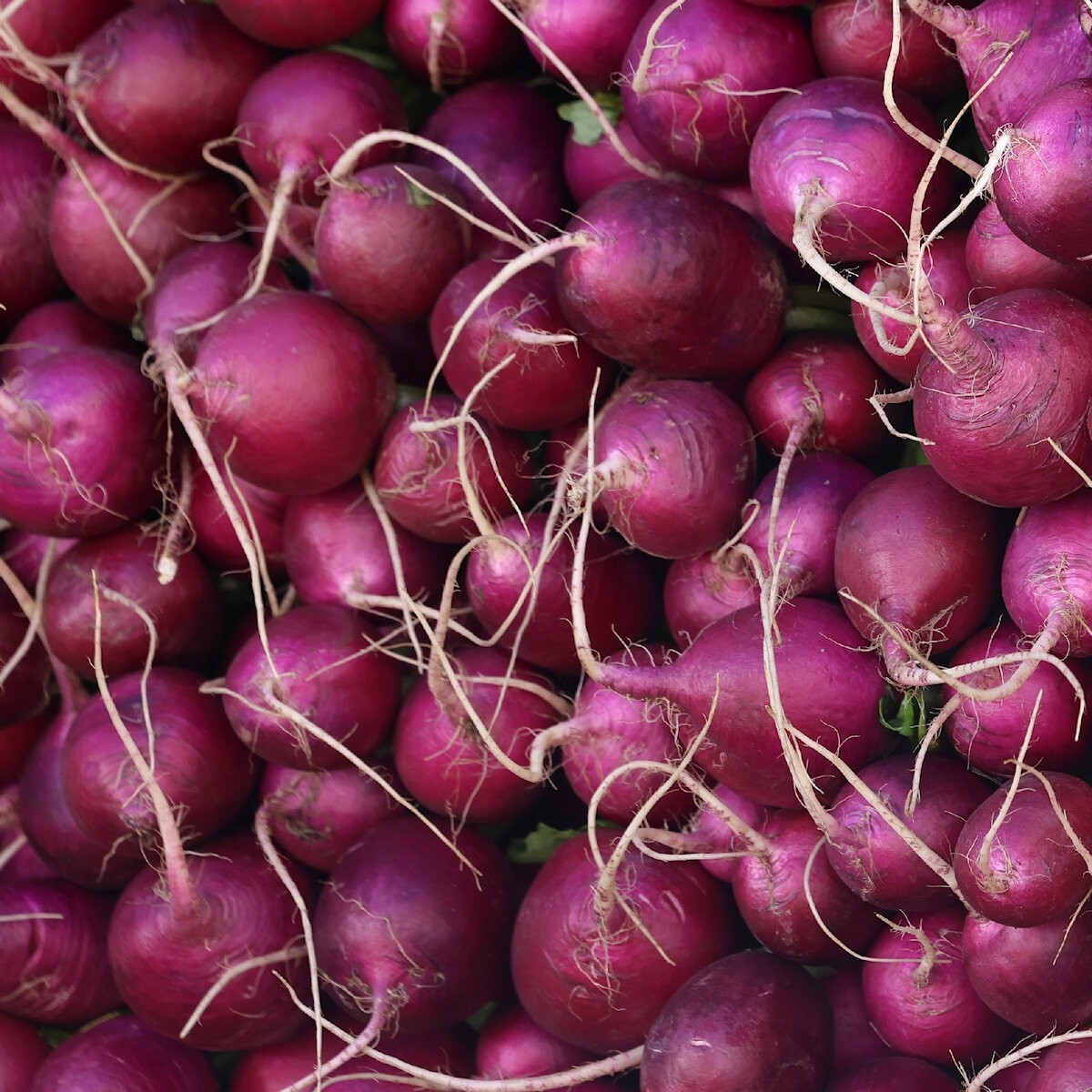 1/4 Lb Purple Plum Radish Seeds – Everwilde Farms Mylar Seed Packet