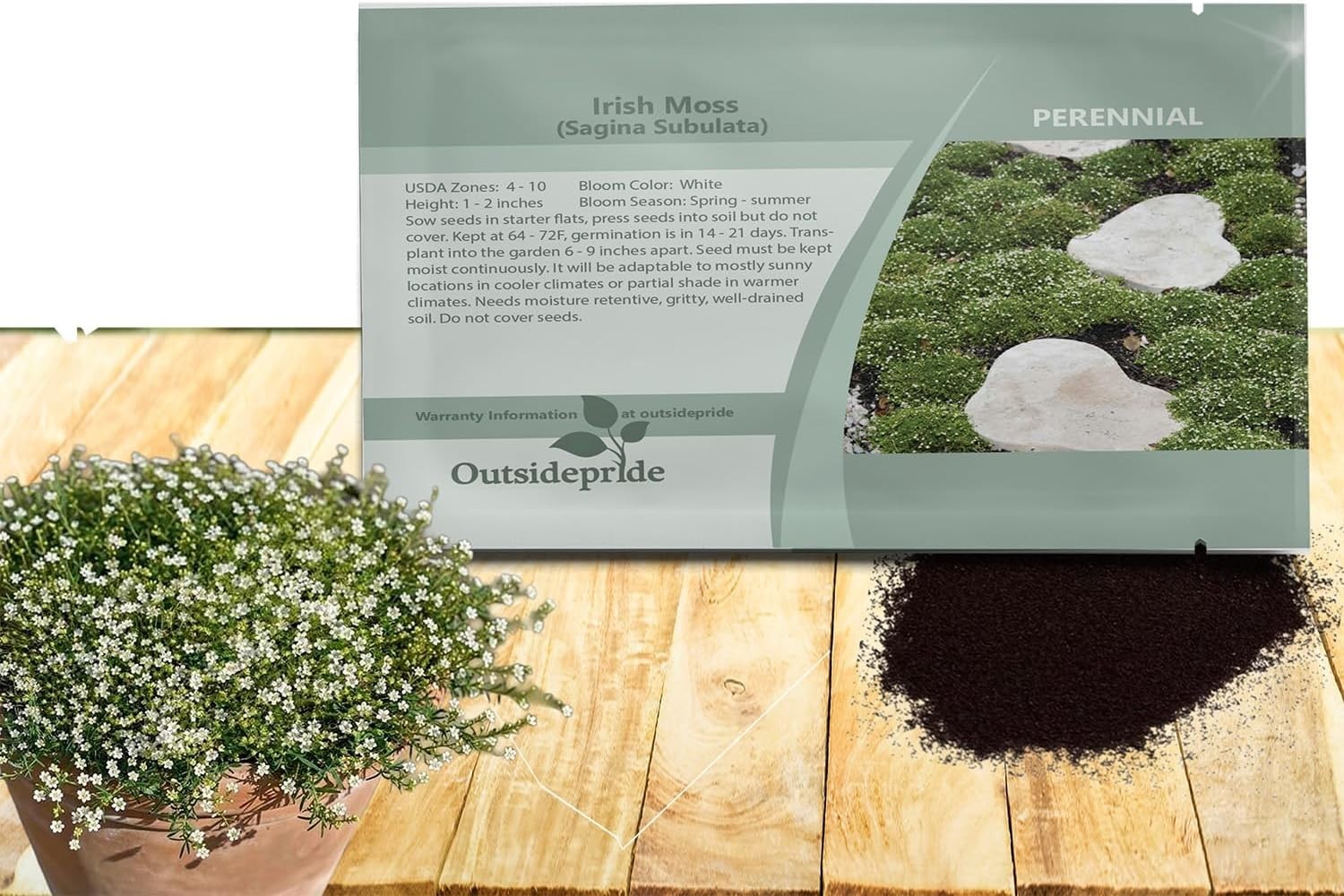 Moisture-Retaining Irish Moss Ground Cover Seeds – 5000 Count, GMO-Free