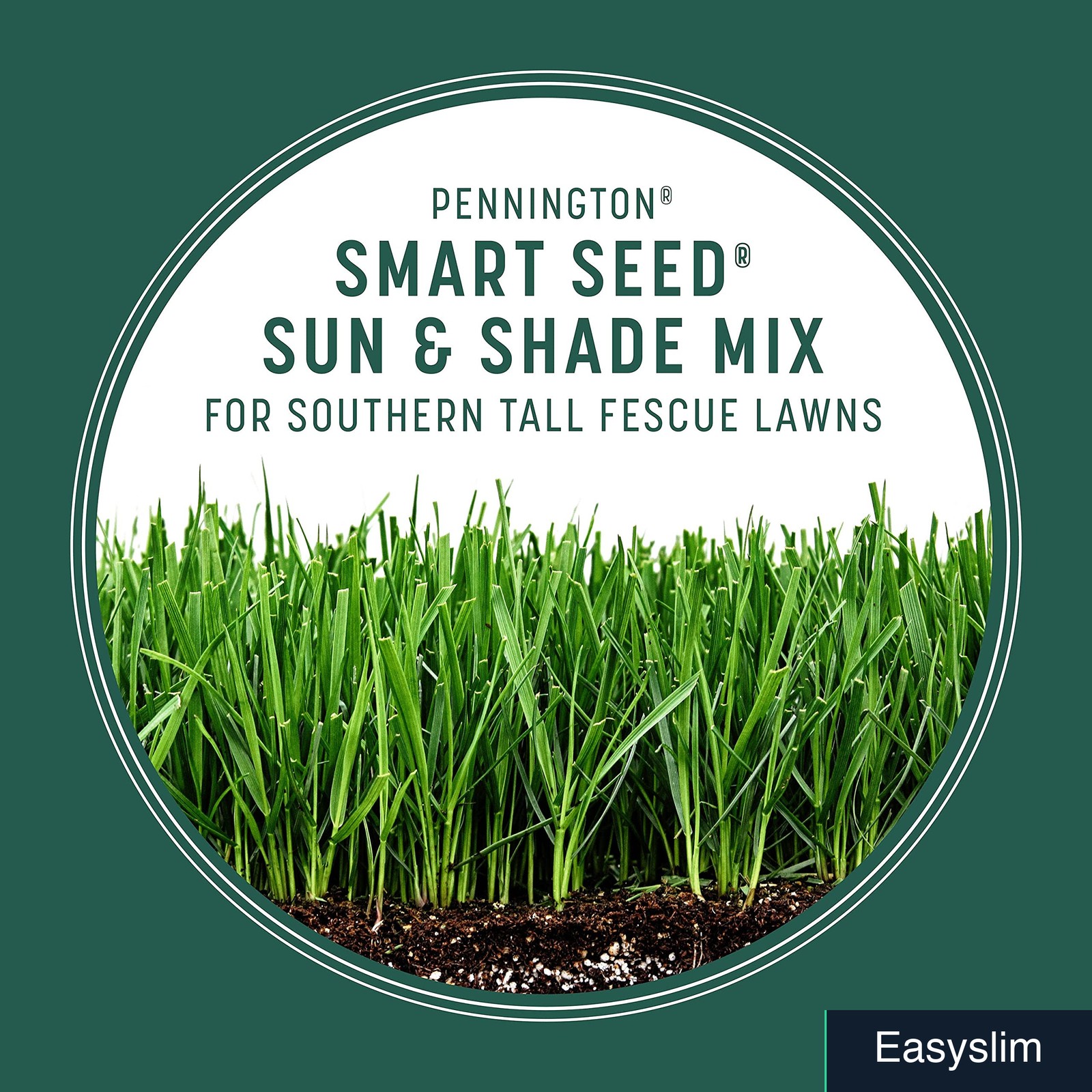 Grass Seed Tall Fescue 7 lb Sun & Shade South Mix with Fertilizer