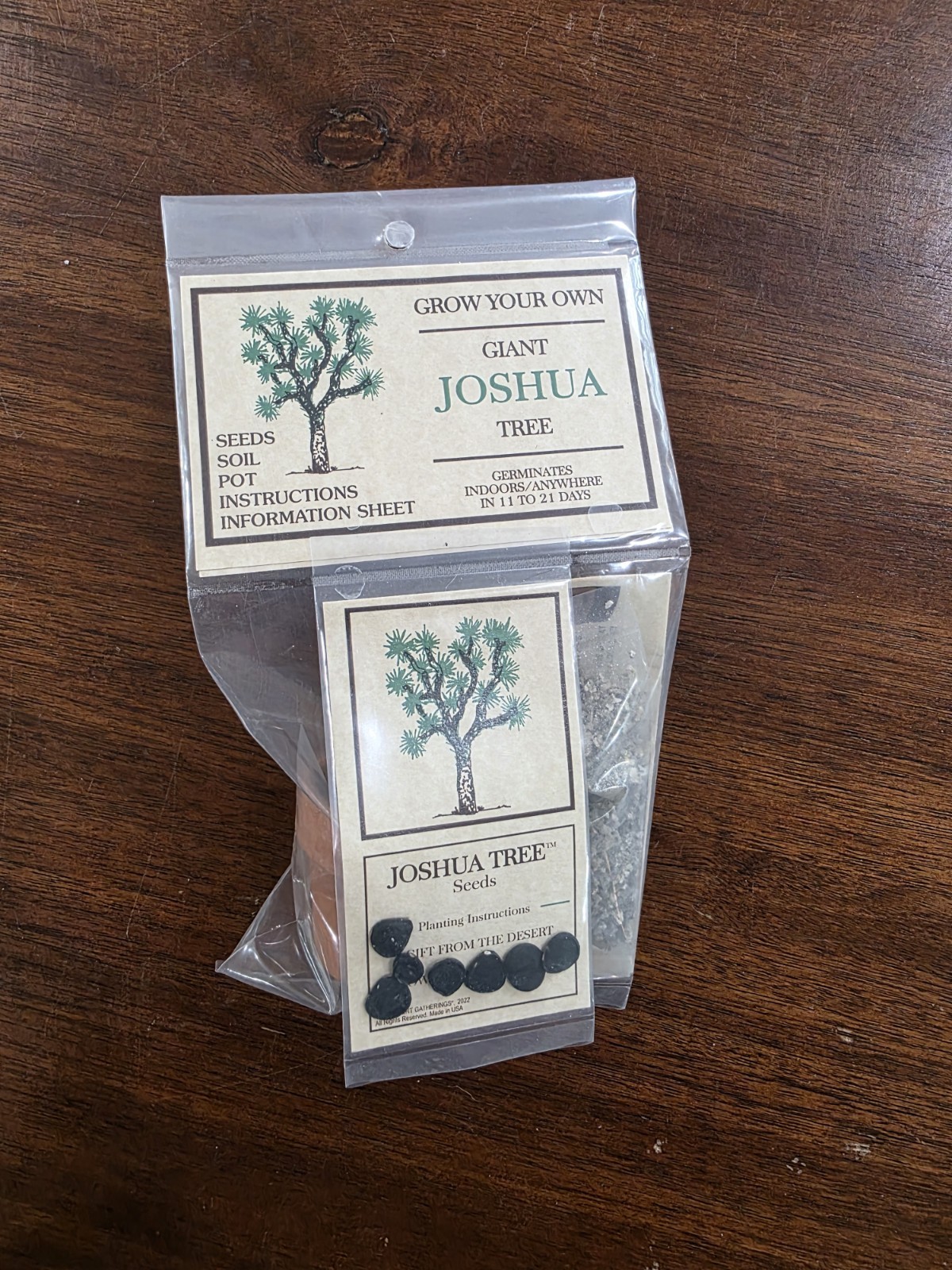 Grow Your Own Giant Joshua Tree – Germinates Indoors/Anywhere in 11 to 21 Days