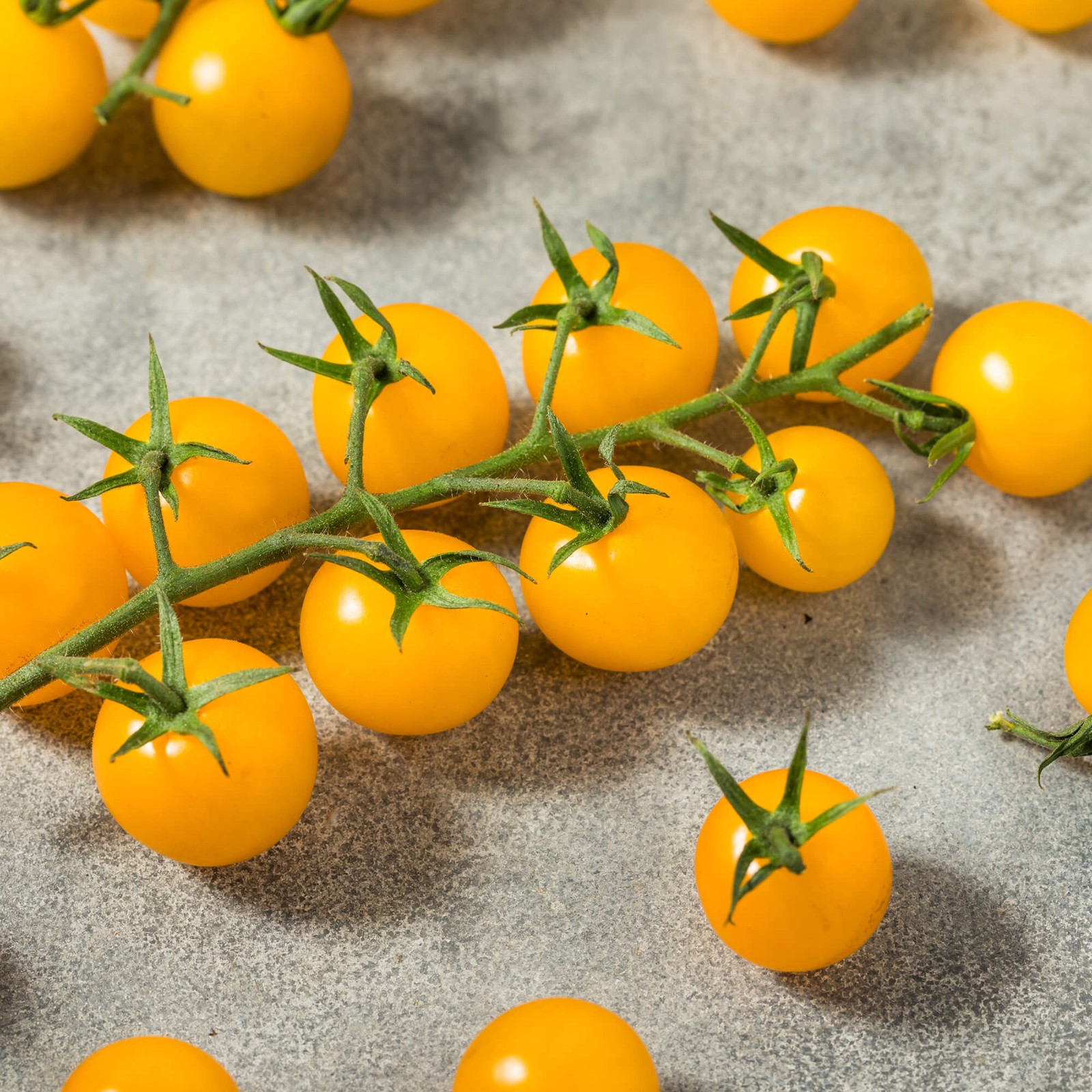 Gold Nugget Tomato Seeds | Heirloom | Yellow Cherry Tomato | Free Shipping 1305