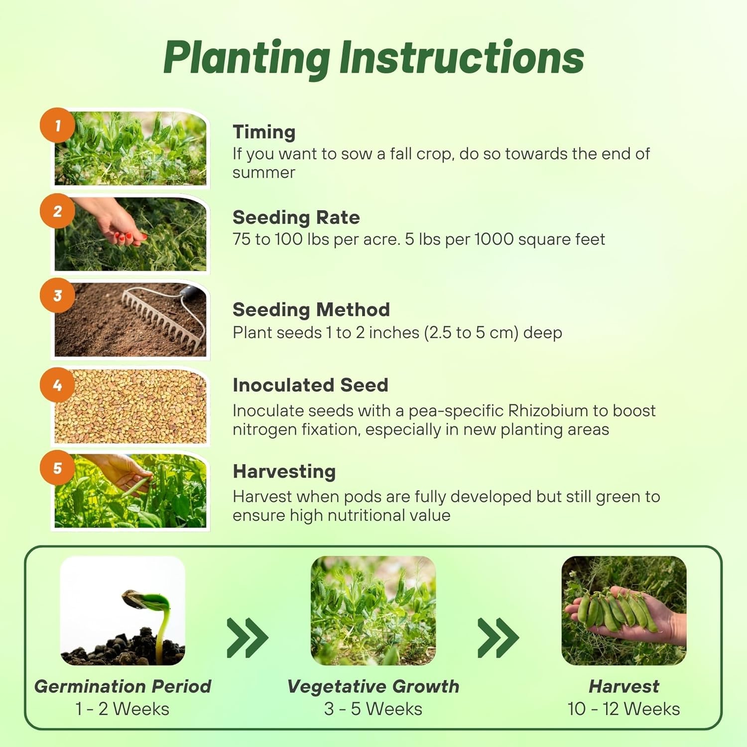 1 LB Field peas for cover crops and food plots