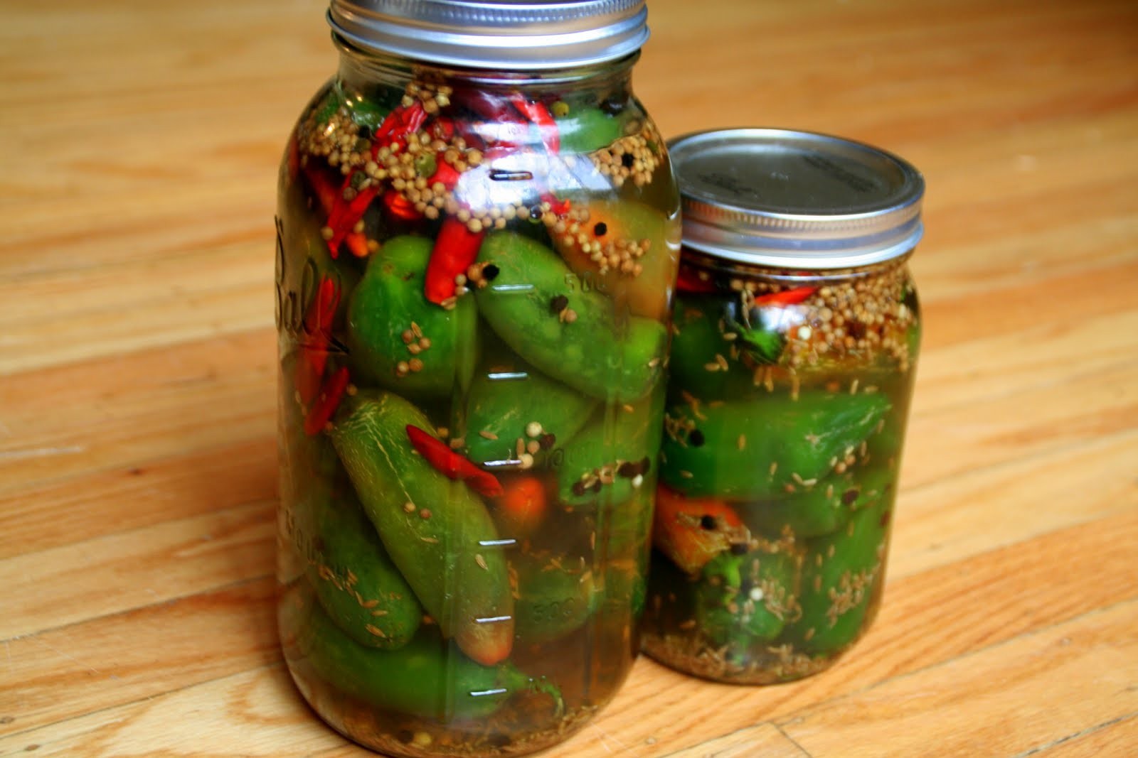 SERRANO PEPPER * DISTINCTIVE FLAVORED * HOT * EVERBEARING * PICO DE GALLO *
