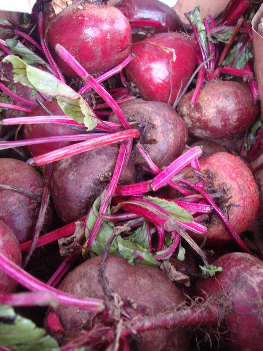 200 ct. Detroit Dark Red Beet Seeds Open-Pollinated Non-GMO Garden Vegetables