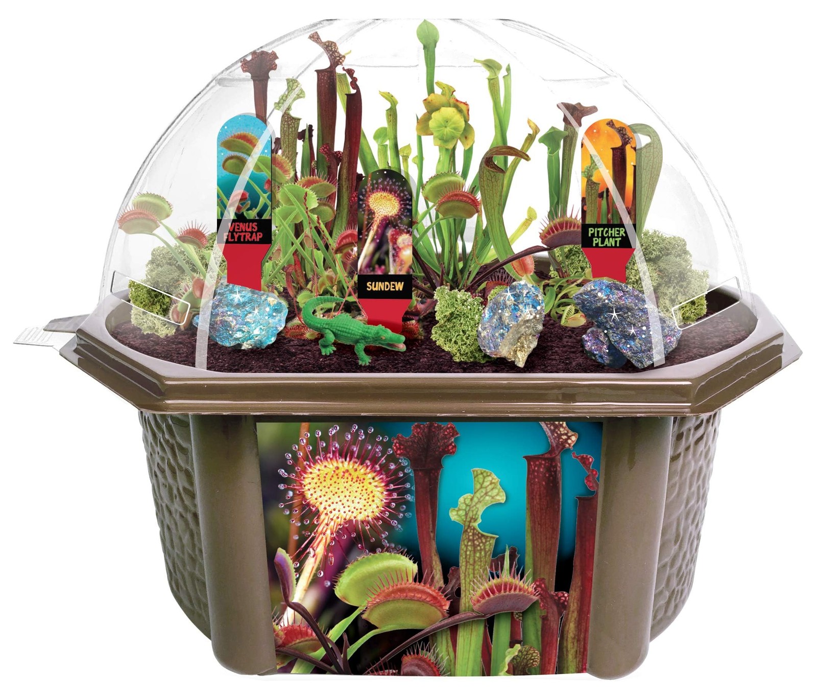 Carnivorous Plant Growing Kit – Grow Venus Fly Trap, Sundew, & Pitcher Plants…
