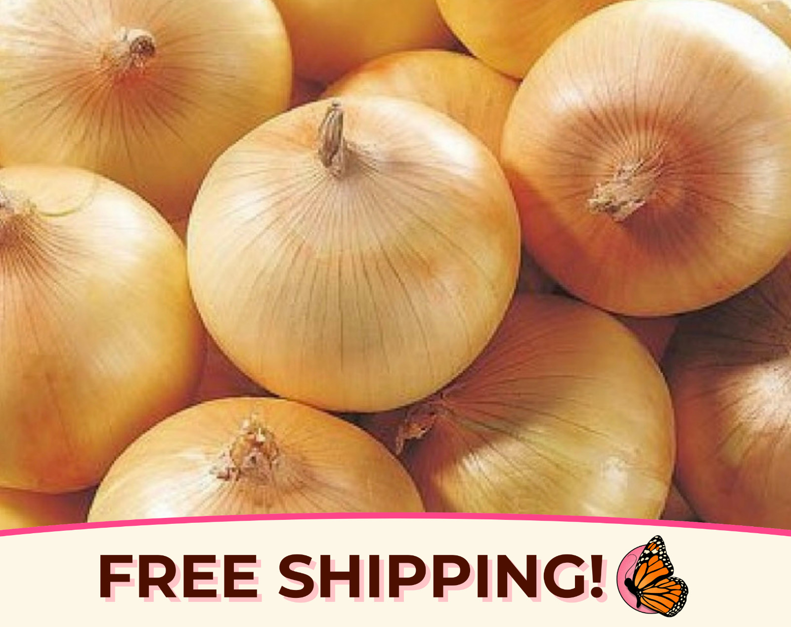 625+ Sweet Spanish Yellow Onion Seeds | Heirloom, Non-GMO, Vegetable Garden Seed