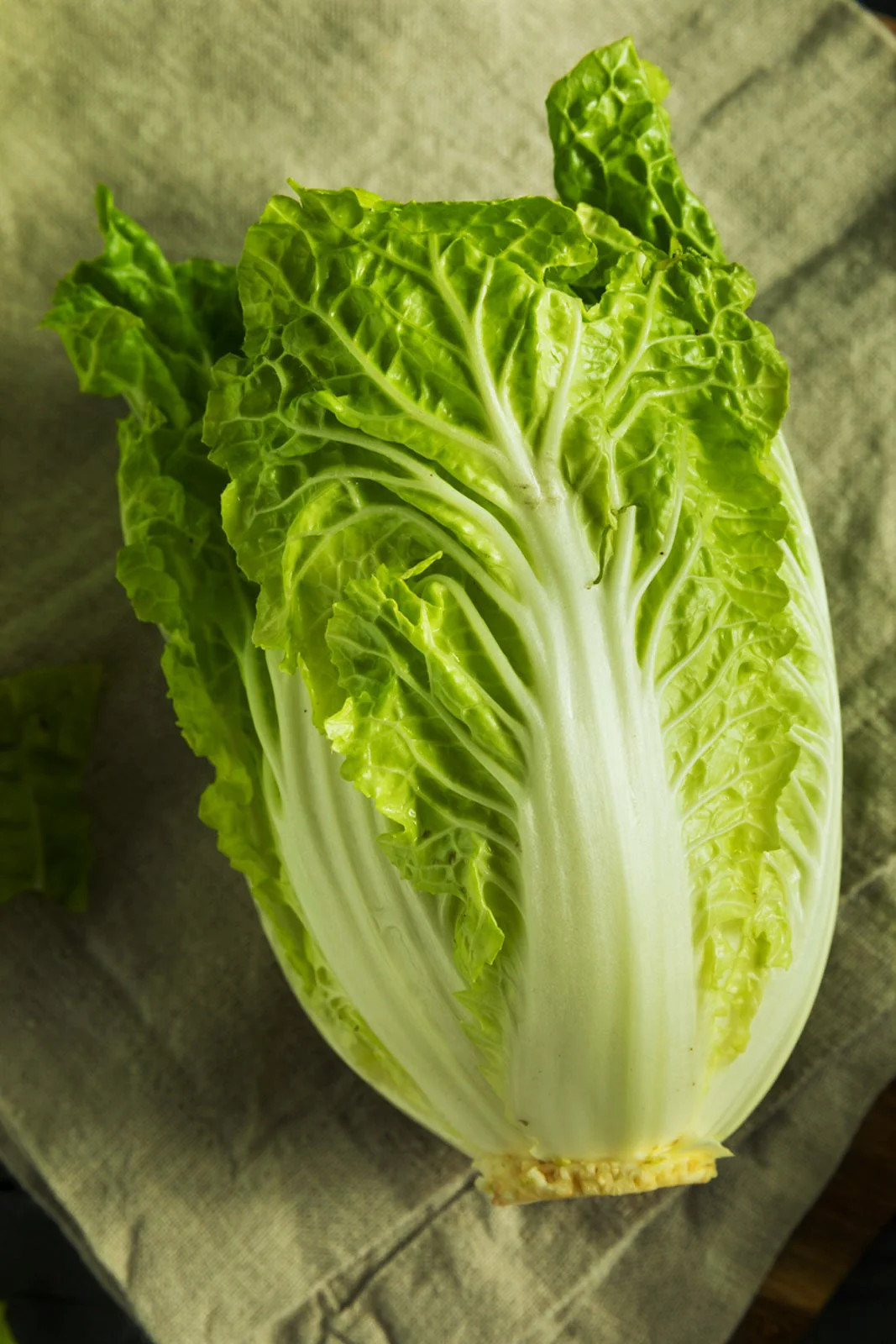 Kyoto No 3 Japanese Napa Cabbage Seeds |Chinese Lettuce Bok Choy Asian Seed 2024