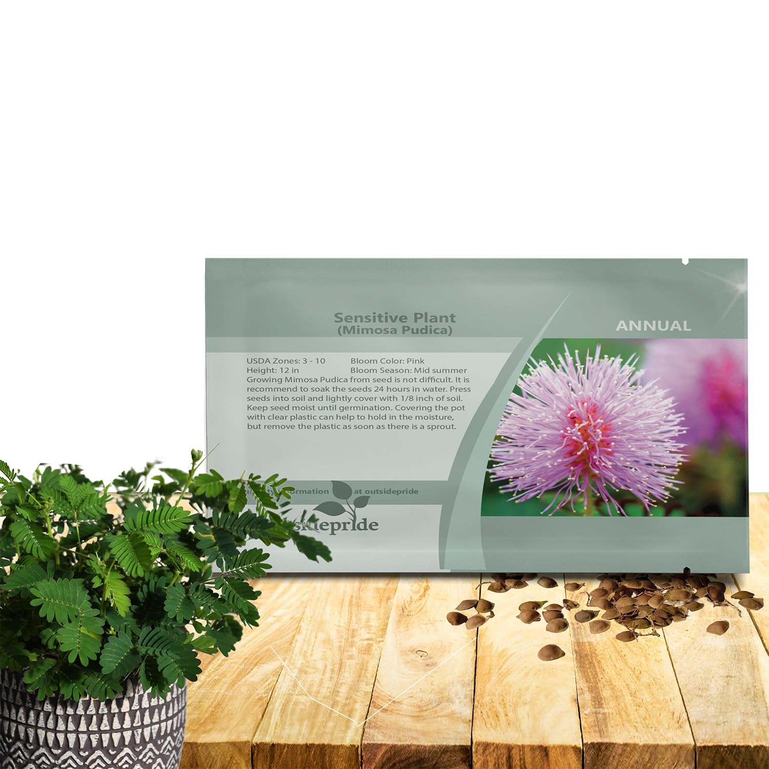 Mimosa Pudica Seeds 1000 Pcs Annual, Easy to Grow, Sensitive Plant Seeds for…
