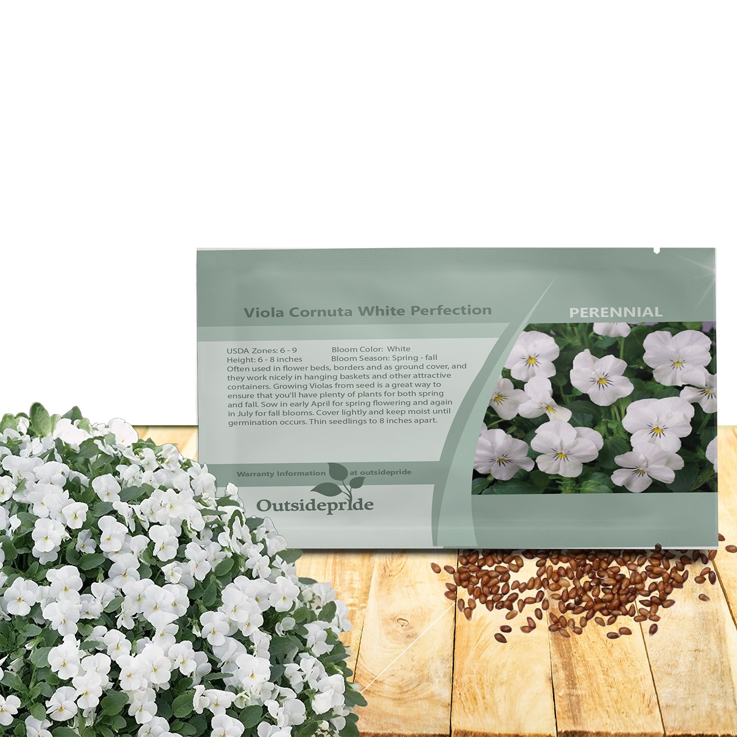 2000 Seeds Viola Seed – Viola White Perfection Flower Seeds