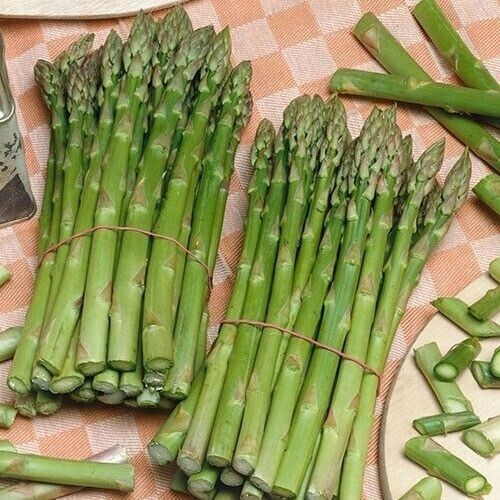 200+ ASPARAGUS SEEDS- UC 157 F2 —————— HEIRLOOM – ORGANIC – NON GMO