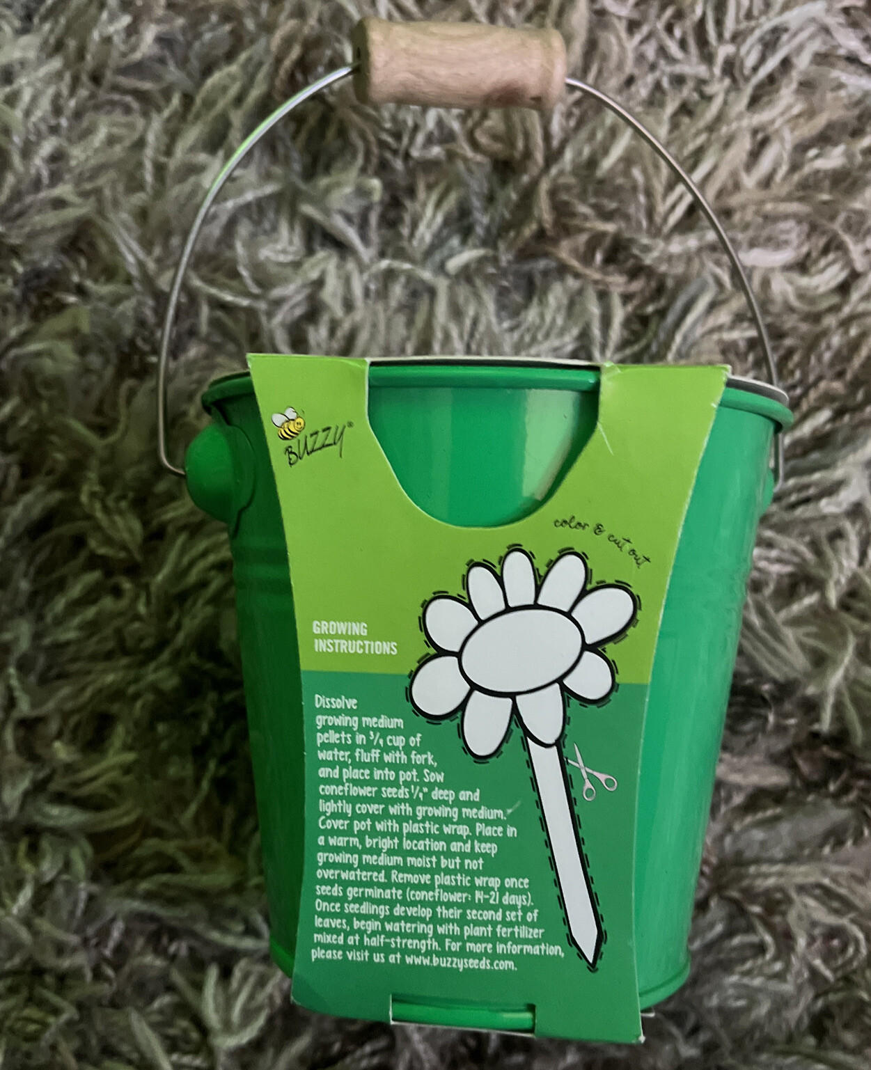 Coneflower Grow Kit – by Buzzy Inc.