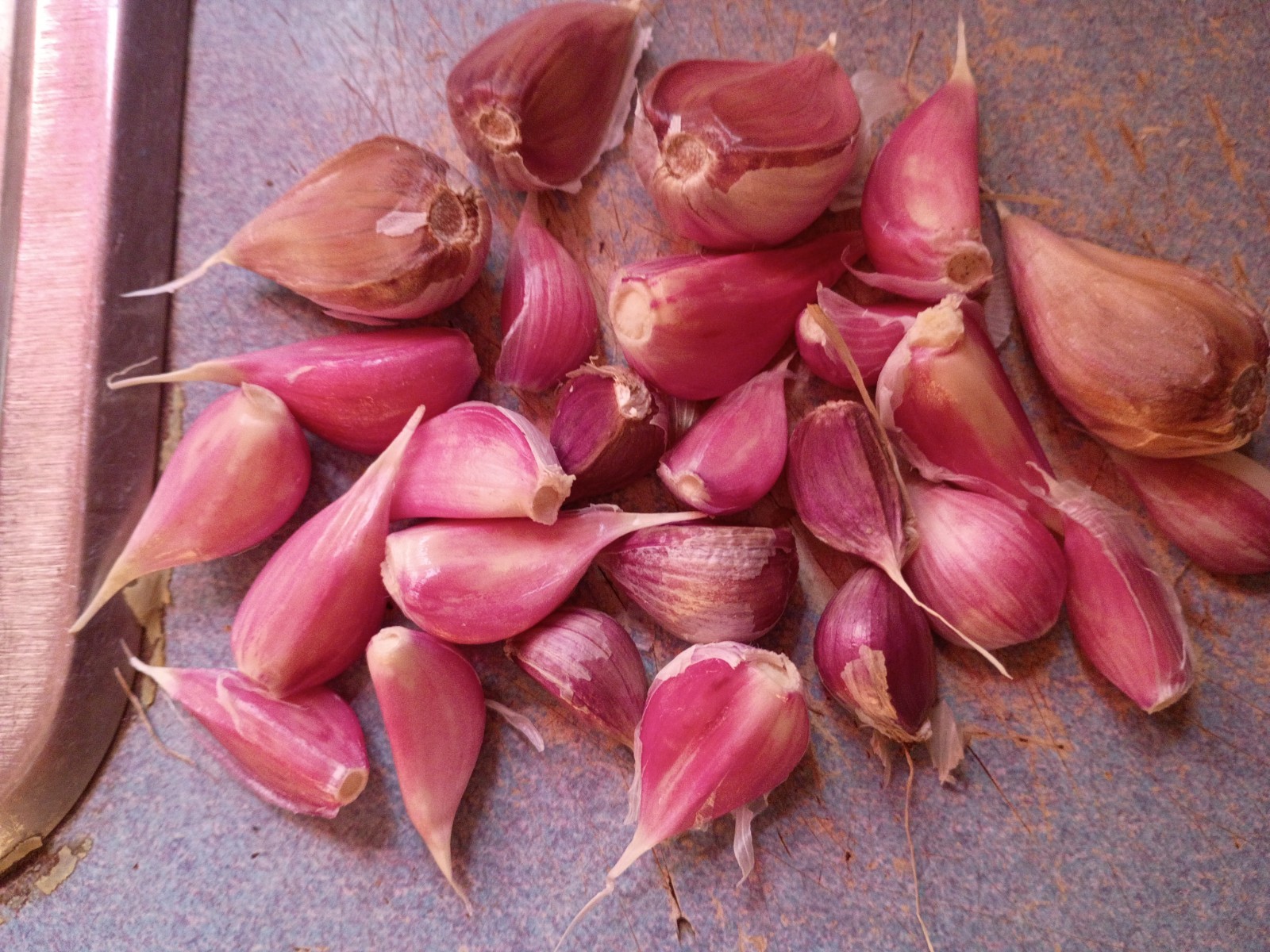 25 Organic German Red Hard neck Garlic Cloves For Planting 2026 USA