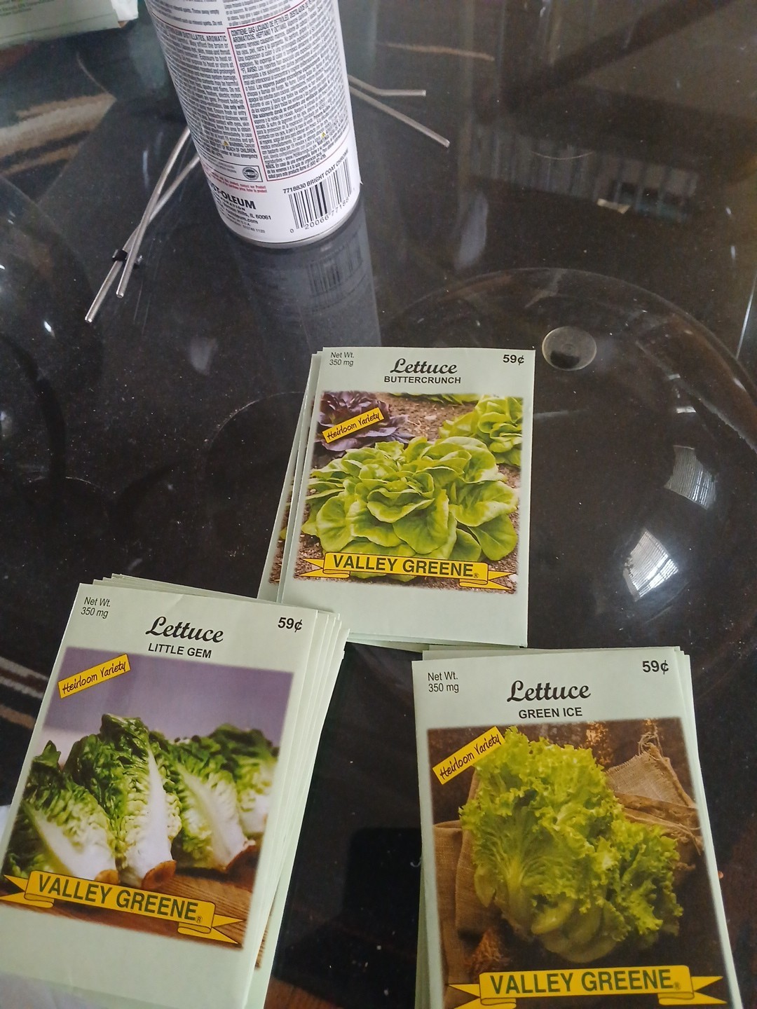Valley Green 3 type Lettuce Lot (11 Little Gem, 6 Green Ice, 4 Buttercrunch)