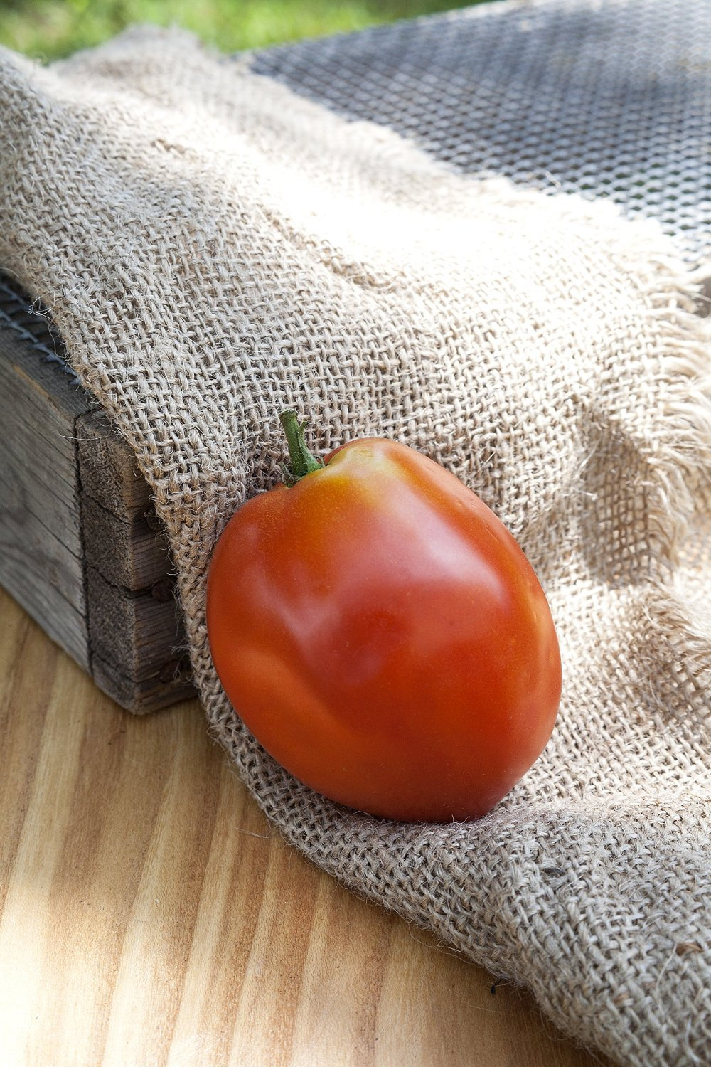 Amish Paste Sauce Heirloom Tomato Premium Seed Packet