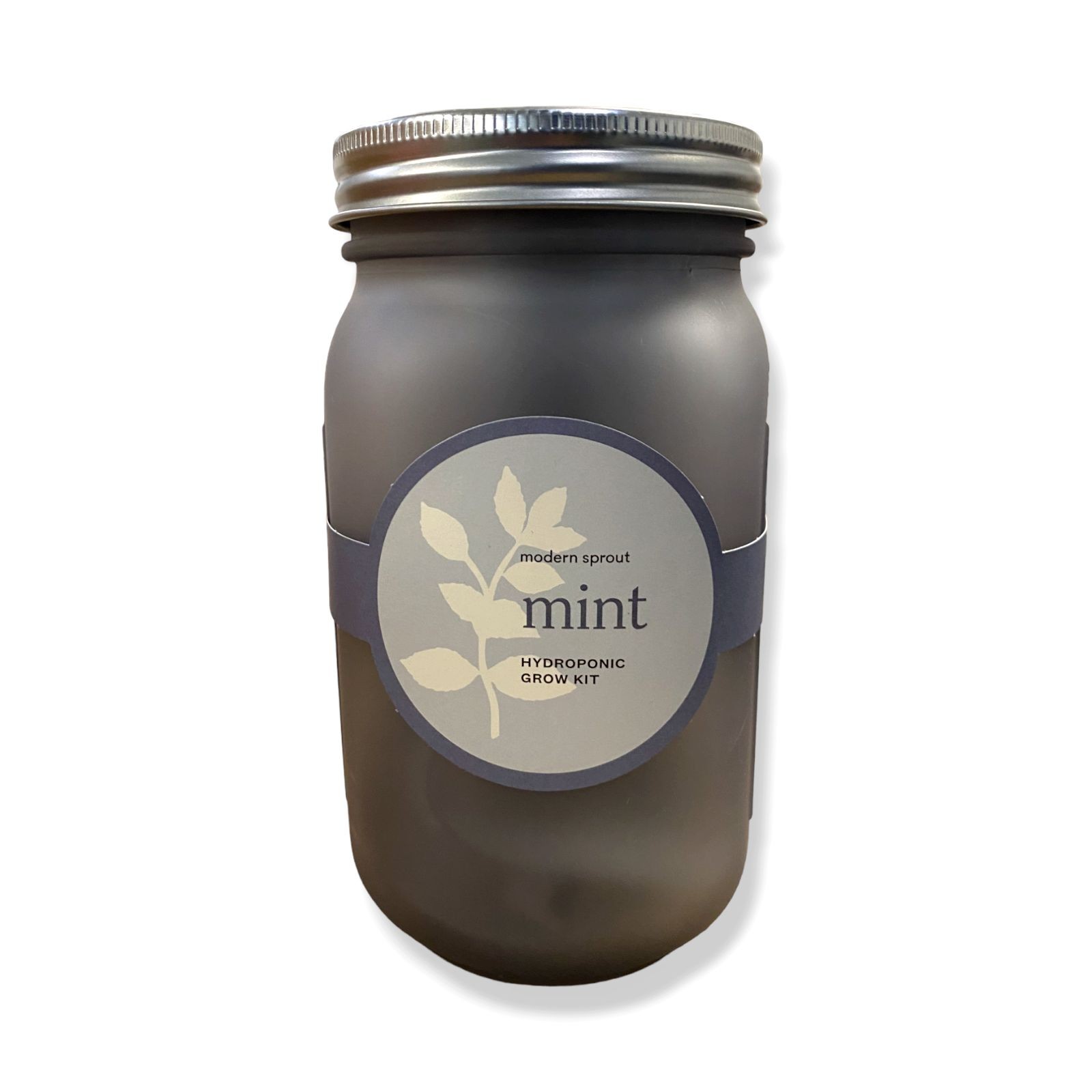 $30 Modern Sprout Blue Garden Jar Mint Growing Plant Kit