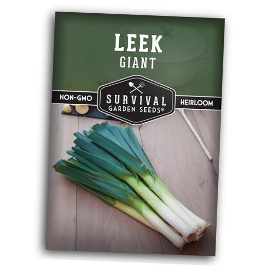 Giant Leek Seed for Planting – Packet with Instructions to Plant and Grow 1