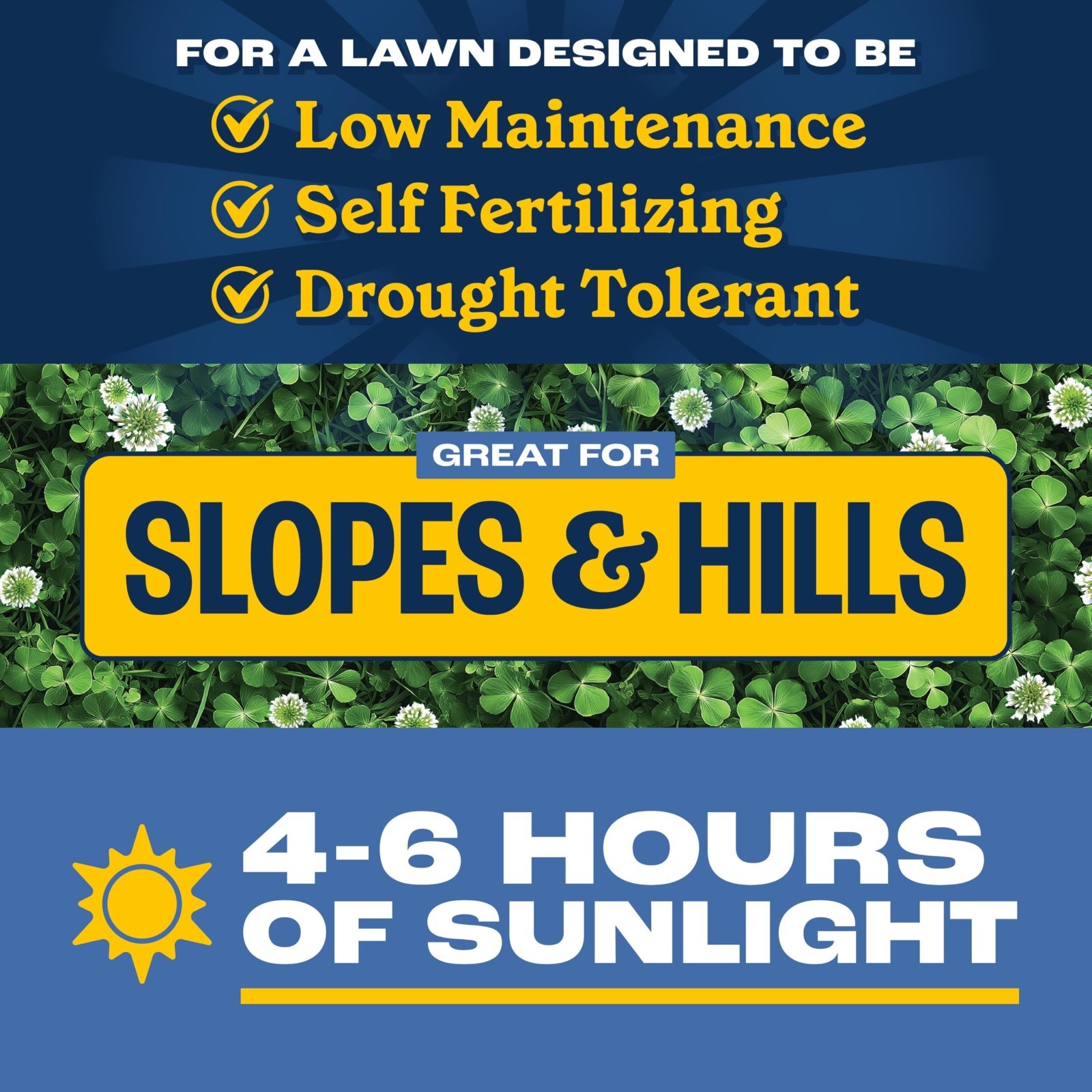 Clover & Grass Seed Mix – 7 lb Pack of 2 – Ideal for Lawns & Gardens