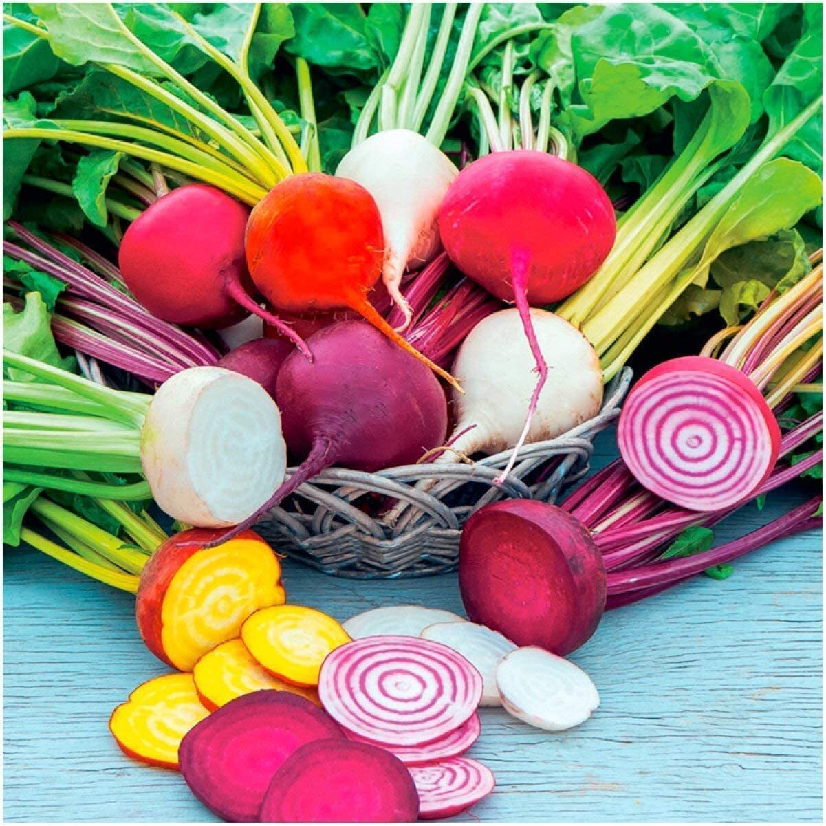500+ Rainbow Beet Seed Mixture – 8 Variety Heirloom Mix (Beta vulgaris)