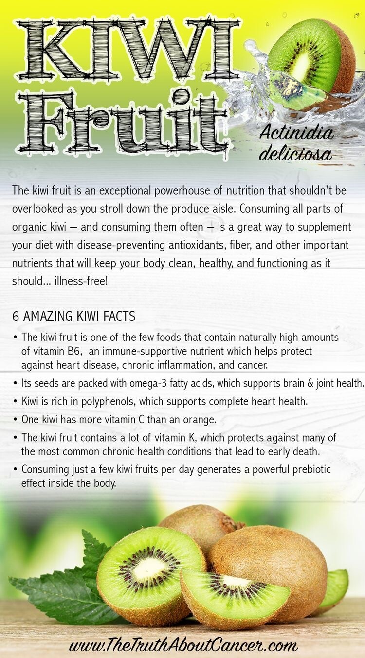 25 🥝 Kiwi Seeds Homegrown Edible Garden Fruit Tree USA Organic NonGMO Vine Veg