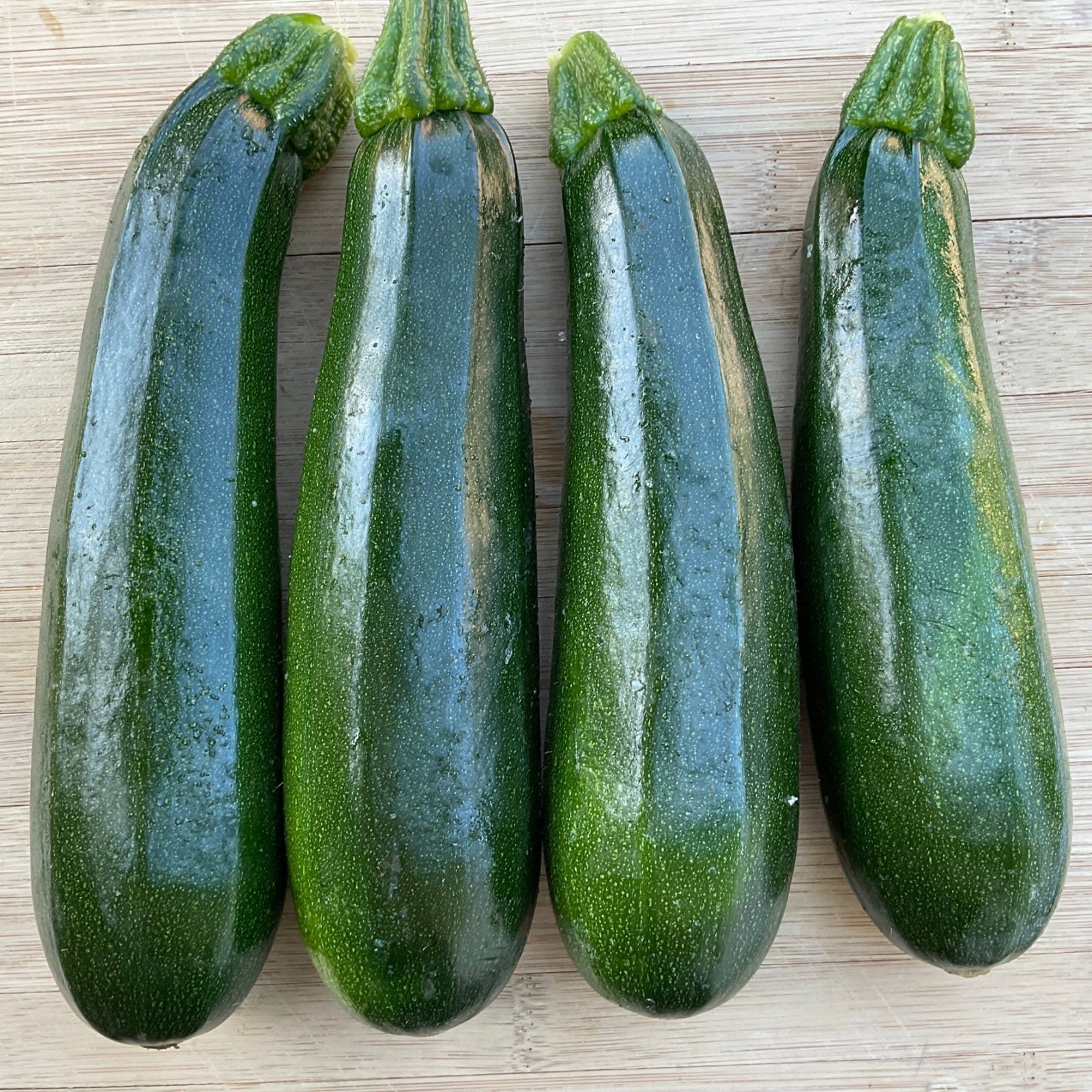 20 Fresh Dark Green Zucchini Summer Premium | NON-GMO | Squash Seeds-B 23