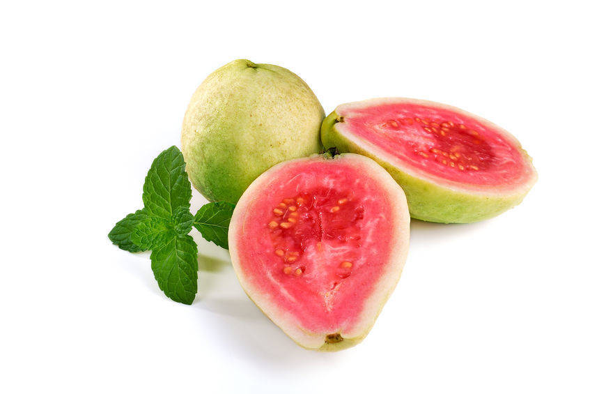 Tropical Apple Guava Psidium guajava Seeds Abundant Fruit