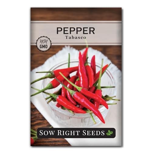 Tabasco Pepper Seeds for Planting – Non-GMO Heirloom Hot Pepper Variety – 1