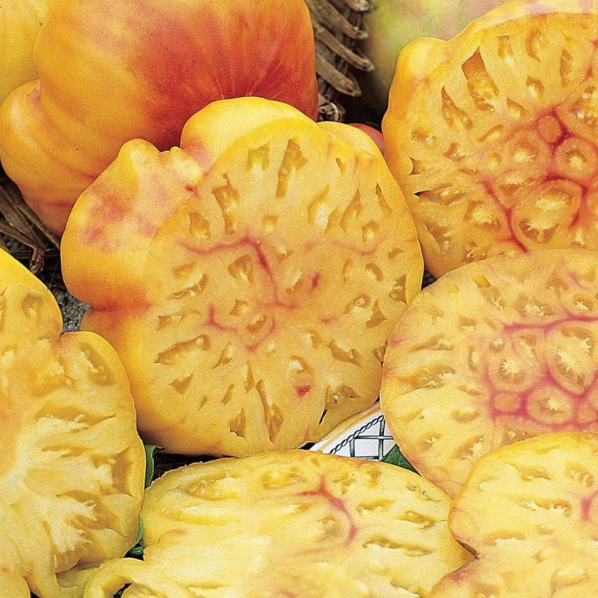 30+ Pineapple Tomato Seeds – Heirloom – Organic – NON GMO — FRESH — RARE