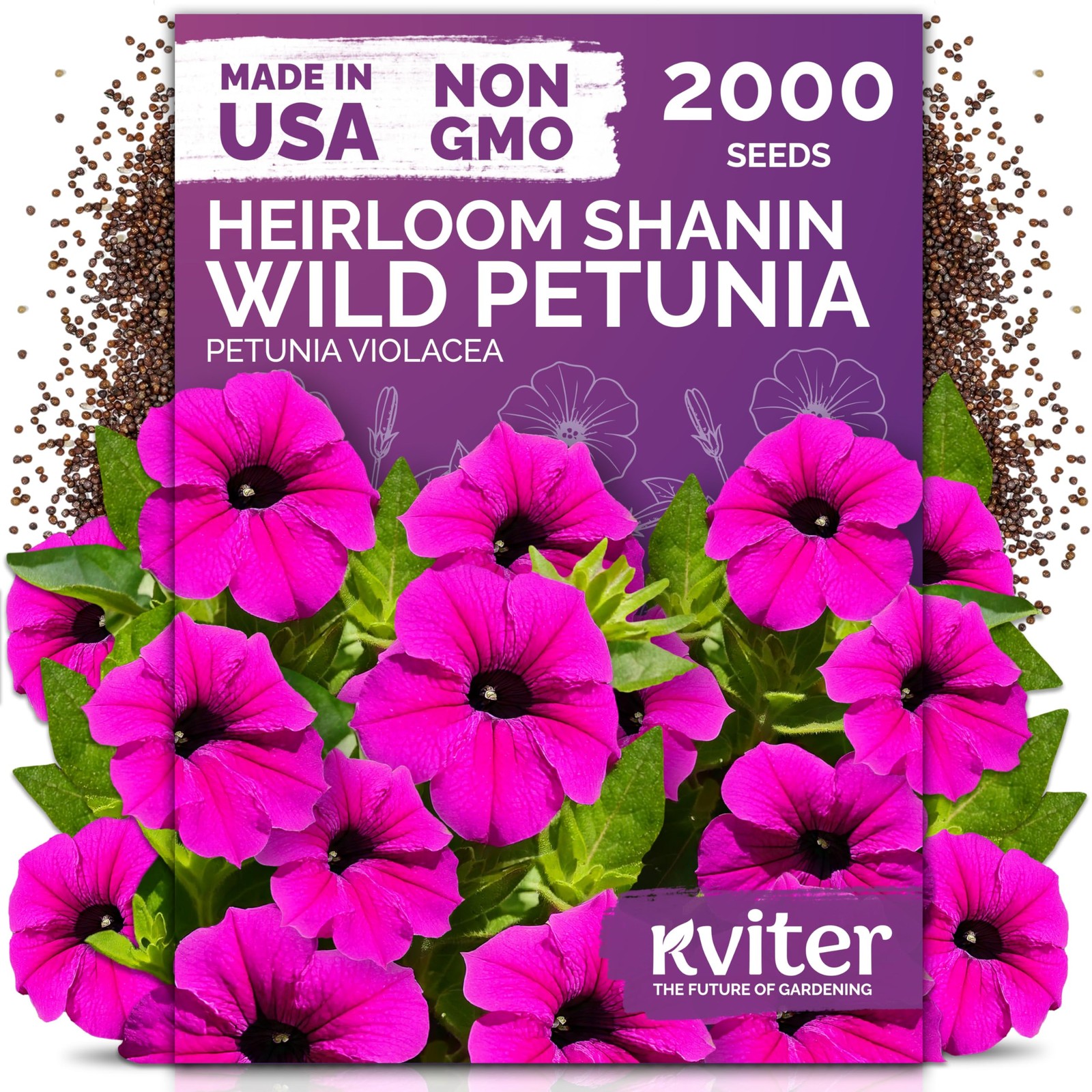 KVITER 2000 Shanin Wild Petunia Seeds For Planting (Pеtuniа viоlacea)