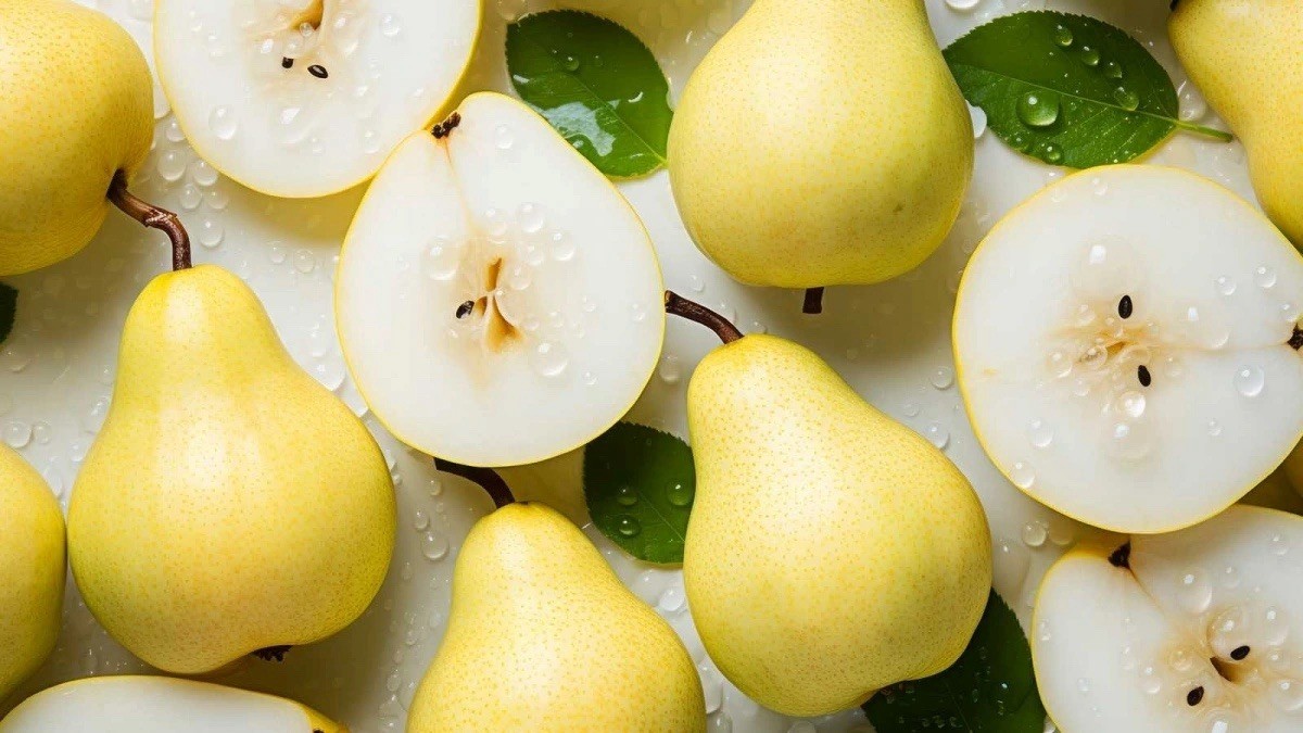 Bartlett Pear, Williams Pear – 20 Seeds 2025 – USA