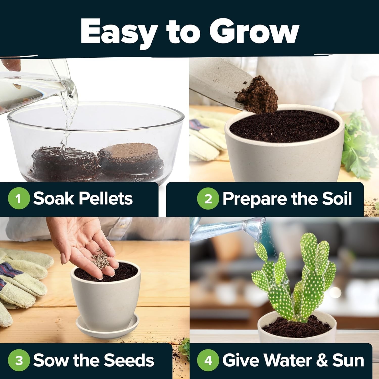 Complete DIY Succulent & Cactus Starter Kit – Indoor/Outdoor Gardening Fun!