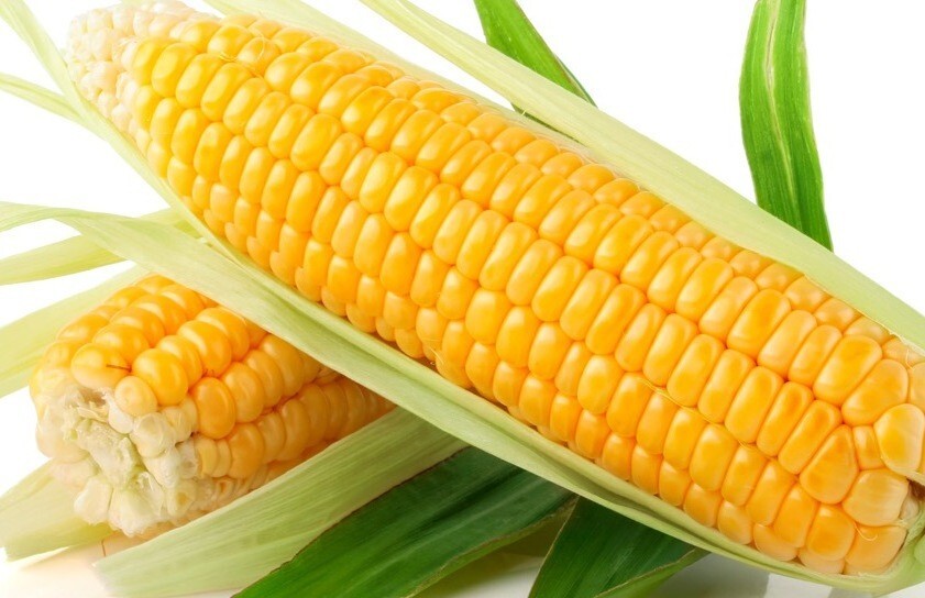 120+ Sweet Golden Bantam Corn Seeds – Heirloom – Organic – NON GMO ——- FRESH